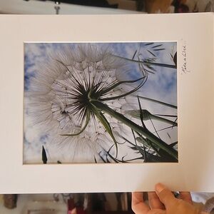 Signed MATTED Original Photography " Make A Wish "